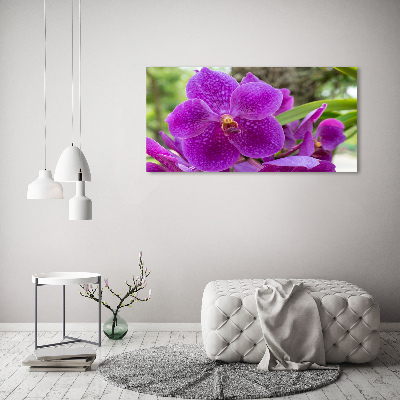 Quadro vetro Orchidea