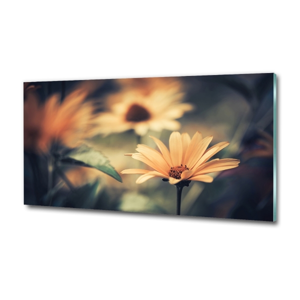 Quadro su vetro Fiore primaverile
