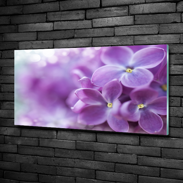 Quadro vetro Fiori di lillà