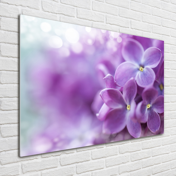 Quadro vetro Fiori di lillà