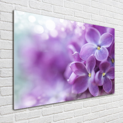 Quadro vetro Fiori di lillà