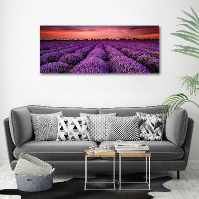 Quadro vetro Campo di lavanda
