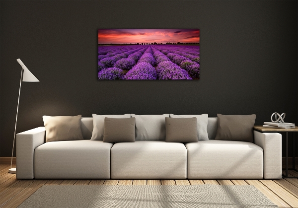 Quadro vetro Campo di lavanda