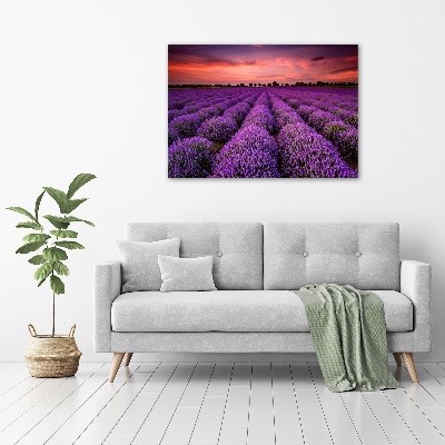 Quadro vetro Campo di lavanda