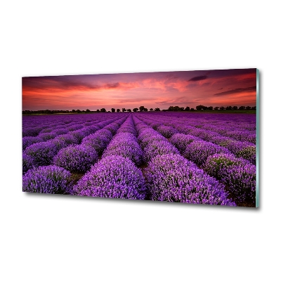 Quadro vetro Campo di lavanda