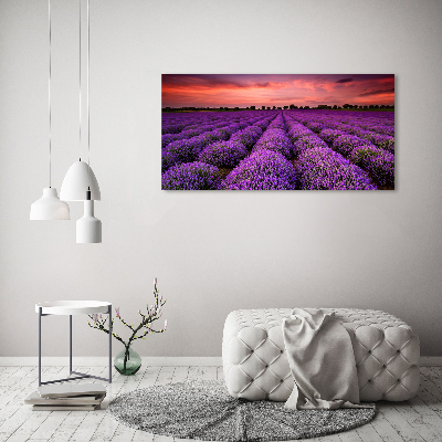 Quadro vetro Campo di lavanda