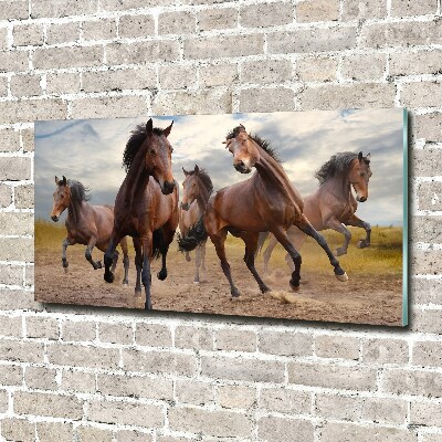 Quadro su vetro Cinque cavalli