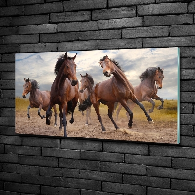 Quadro su vetro Cinque cavalli