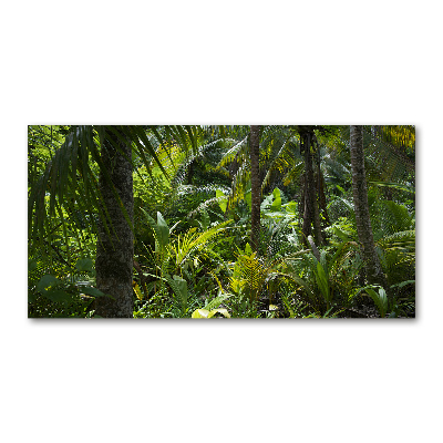 Quadro in vetro Foresta tropicale