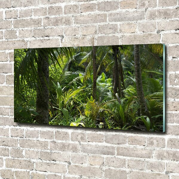 Quadro in vetro Foresta tropicale