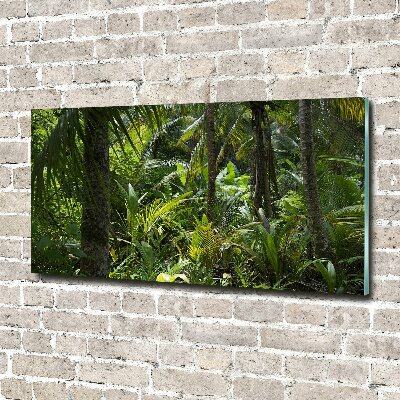 Quadro in vetro Foresta tropicale