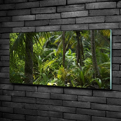 Quadro in vetro Foresta tropicale