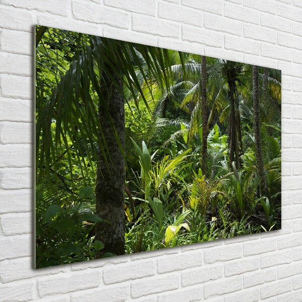 Quadro in vetro Foresta tropicale