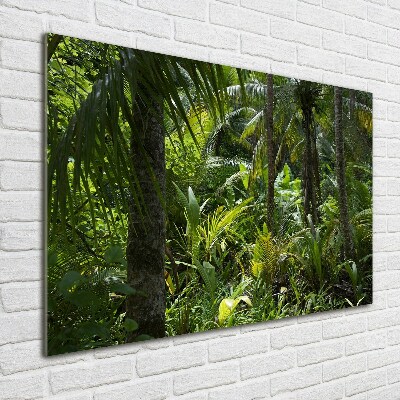 Quadro in vetro Foresta tropicale