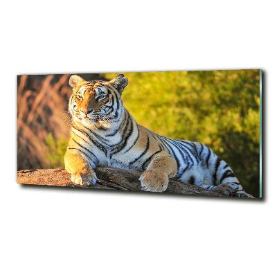 Quadro in vetro Ritratto di una tigre
