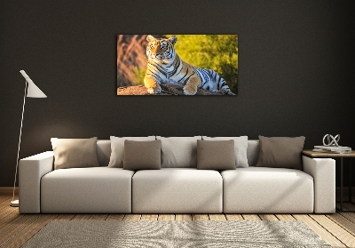Quadro in vetro Ritratto di una tigre