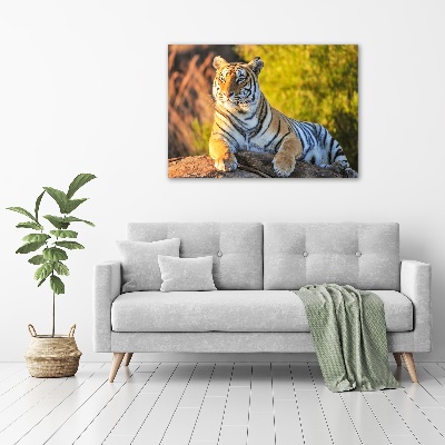 Quadro in vetro Ritratto di una tigre