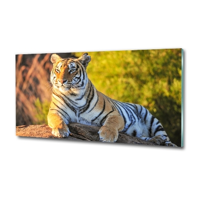 Quadro in vetro Ritratto di una tigre