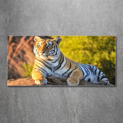 Quadro in vetro Ritratto di una tigre