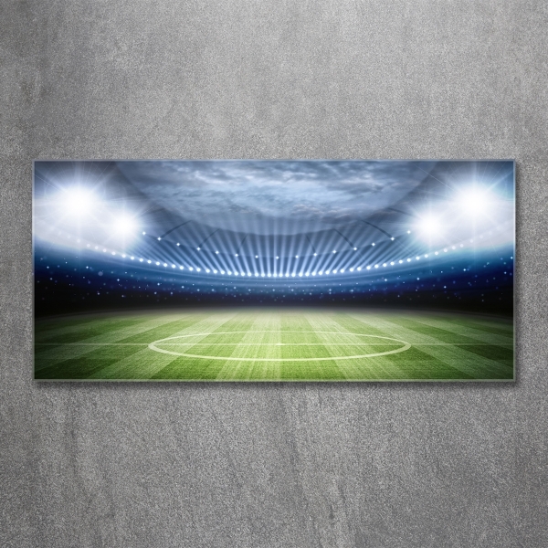 Quadro su vetro Stadio
