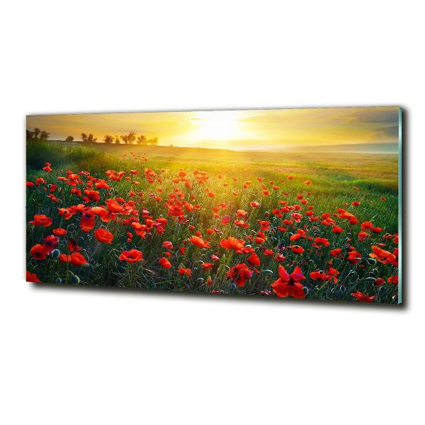 Quadro in vetro Campo di papaveri