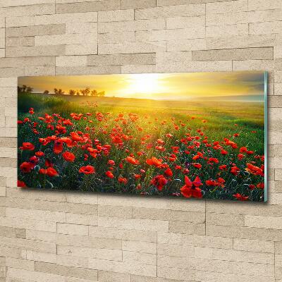 Quadro in vetro Campo di papaveri