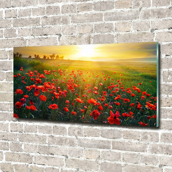 Quadro in vetro Campo di papaveri