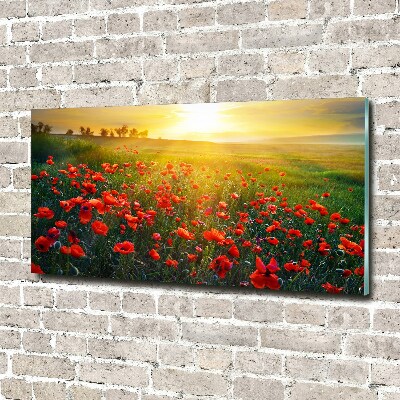Quadro in vetro Campo di papaveri