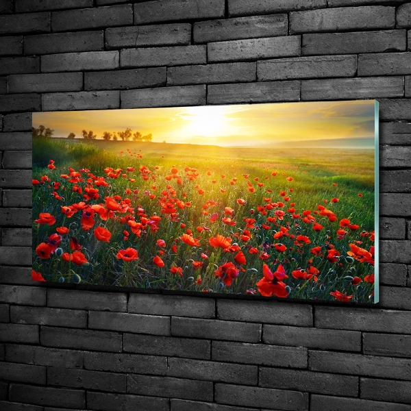 Quadro in vetro Campo di papaveri
