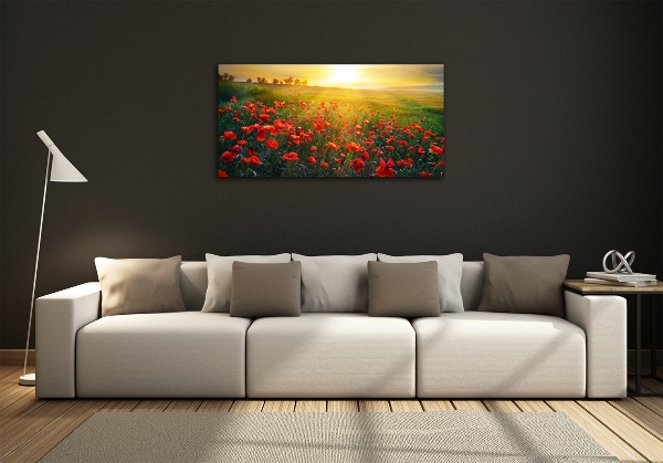 Quadro in vetro Campo di papaveri