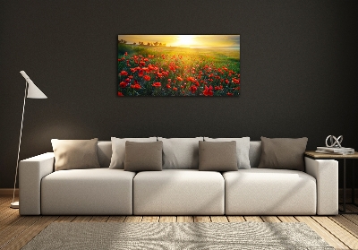 Quadro in vetro Campo di papaveri
