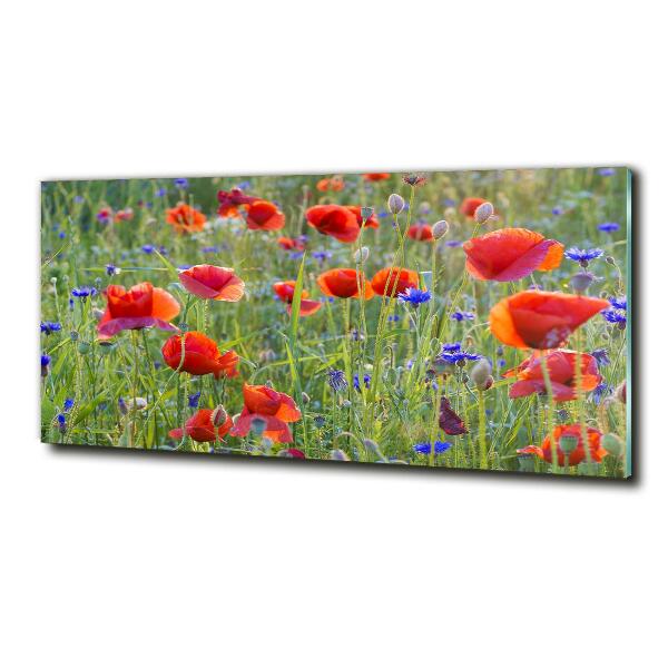 Quadro su vetro Fiori selvatici