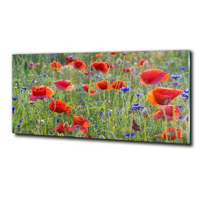 Quadro su vetro Fiori selvatici