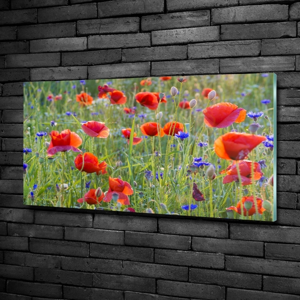 Quadro su vetro Fiori selvatici