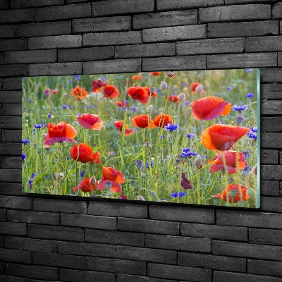 Quadro su vetro Fiori selvatici
