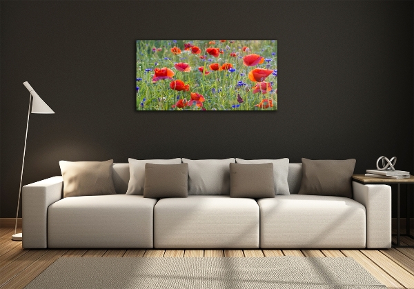 Quadro su vetro Fiori selvatici