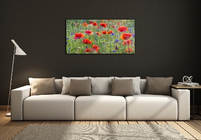 Quadro su vetro Fiori selvatici