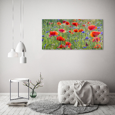 Quadro su vetro Fiori selvatici