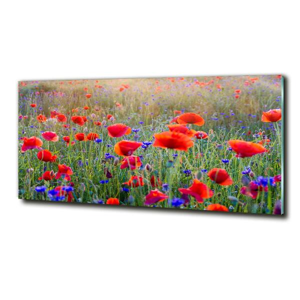 Quadro su vetro Fiori selvatici