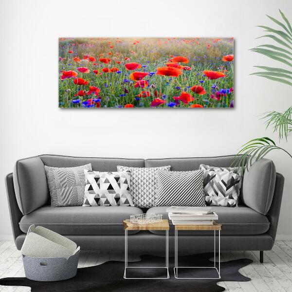 Quadro su vetro Fiori selvatici