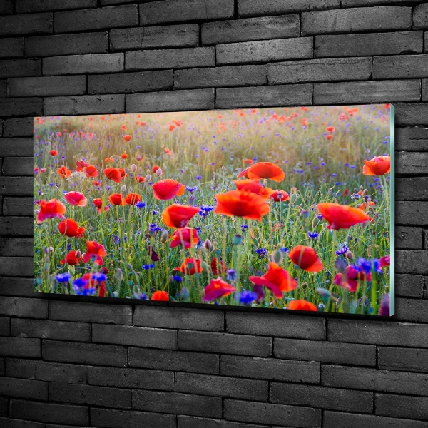 Quadro su vetro Fiori selvatici