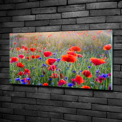 Quadro su vetro Fiori selvatici