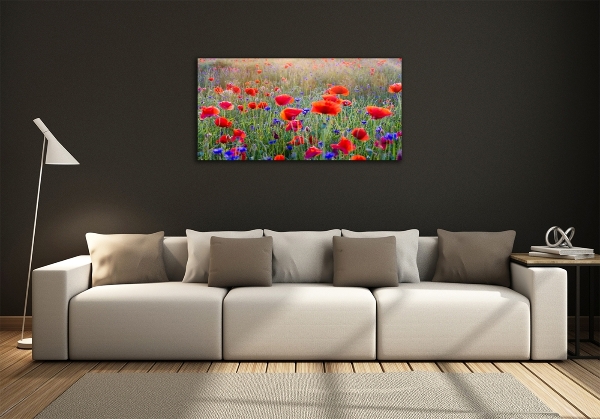 Quadro su vetro Fiori selvatici