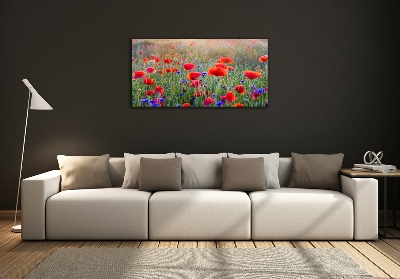 Quadro su vetro Fiori selvatici