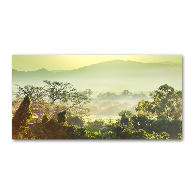 Quadro su vetro Giungla