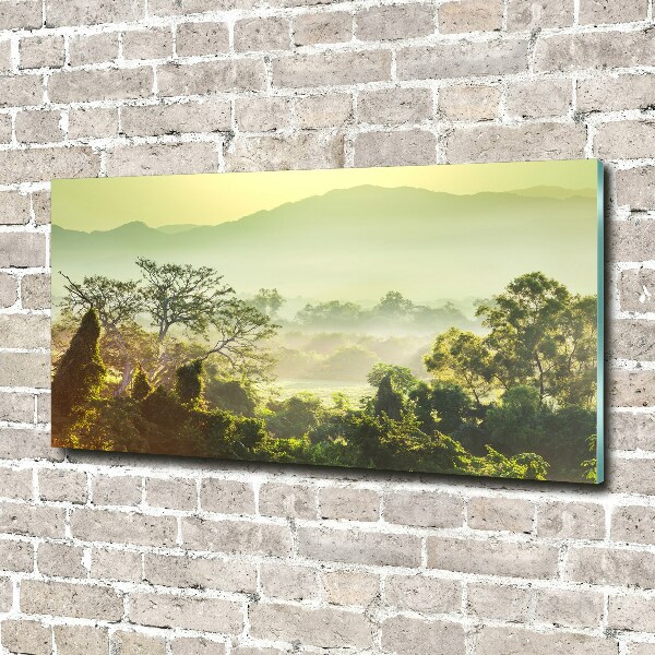 Quadro su vetro Giungla