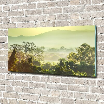 Quadro su vetro Giungla