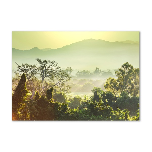 Quadro su vetro Giungla