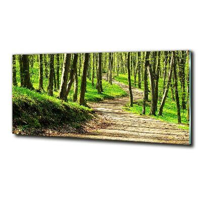 Quadro su vetro Sentiero nella foresta