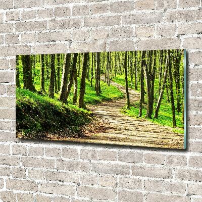 Quadro su vetro Sentiero nella foresta